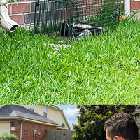 Photos of Our Business - Aviator Pest Control - Photo (191679)