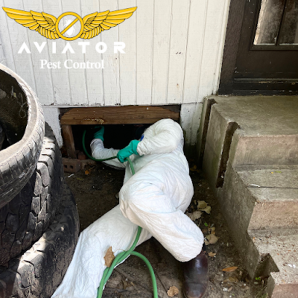 Photos of Our Business - Aviator Pest Control - Photo (191681)