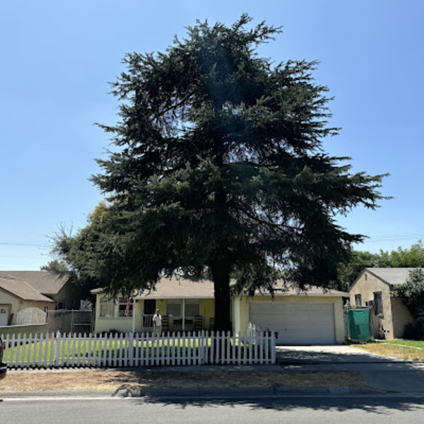 Photos of Our Business - Timber Pros Tree Service - Photo (195167)