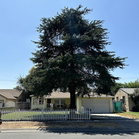 Photos of Our Business - Timber Pros Tree Service - Photo (195167)