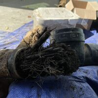 Sewer repair - Latest Work -  Drainflow Solutions & Plumbing