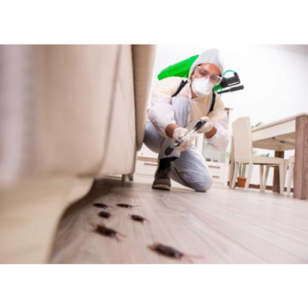 Photos of Our Business - Murfreesboro Pro Pest Service - Photo (206994)