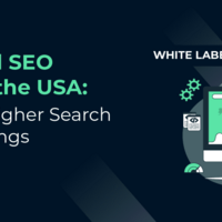 url : https://digitalanalystteam.com/white-label-seo-services-usa/