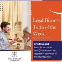 Criminal Lawyers - Zagerlaw, PA - Photo (213076)