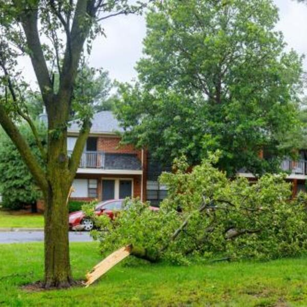 Photos of Our Business - On Call Restorations - Photo (216364)