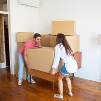 Photos of Our Business - Cocoa Movers - Photo (222651)