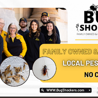 Photos of Our Business - Bug Shockers - Photo (222981)