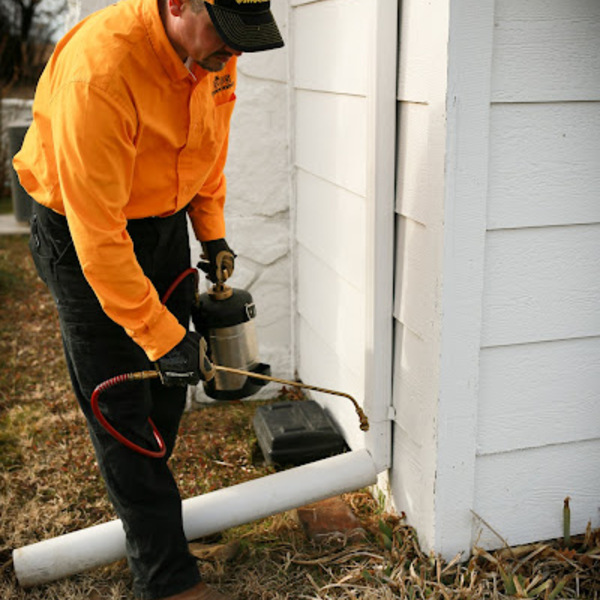 Photos of Our Business - Bug Shockers - Photo (222984)