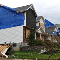 Photos of Our Business - Crown Restoration - Photo (227626)