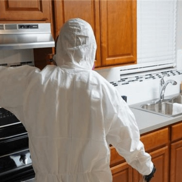 Photos of Our Business - Paul Davis Restoration of Northwest Virginia - Photo (227639)