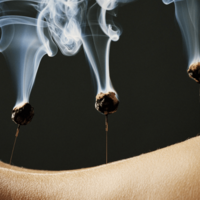 Moxibustion therapy Miami Beach - Chinese Medicine -  Organic Palms Massage & Reiki