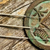 Chinese Medicine - Chinese Medicine -  Organic Palms Massage & Reiki