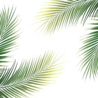 Organic Palms Massage & Reiki - Photos of Our Business -  Organic Palms Massage & Reiki