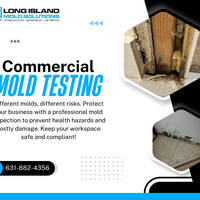 Commercial Mold Testing