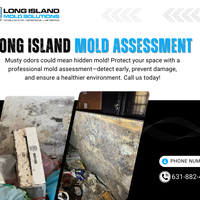 Long Island Mold Assessment