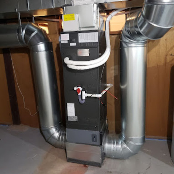 Photos of Our Business - Precision Air - Photo (232230)