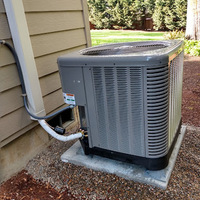 Photos of Our Business - Precision Air - Photo (232233)