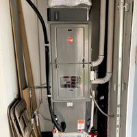 Photos of Our Business - Precision Air - Photo (232236)