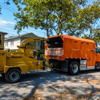 The Rising Sun Tree Care - The Rising Sun Tree Care - Photo (232269)