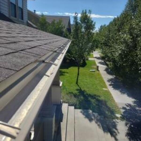 Photos of Our Business - Gutter Crew - Photo (232461)
