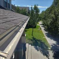 Photos of Our Business - Gutter Crew - Photo (232461)