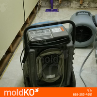 Mold Remediation Services Mold KO of Elizabeth