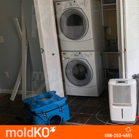 Mold Remediation Services Mold KO of Elizabeth