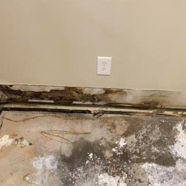 Portfolio - Emergency Restoration Solutions - Photo (235612)