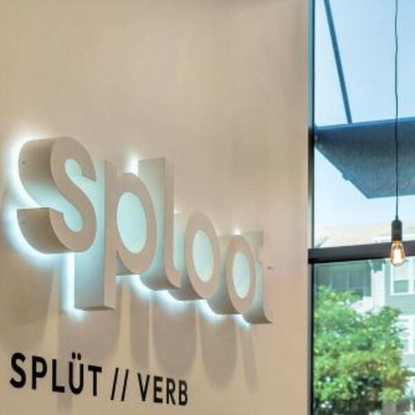 Photos - Sploot Veterinary Care - Lincoln Park - Photo (237367)