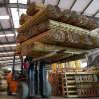 Bulk Bamboo Canes Supply