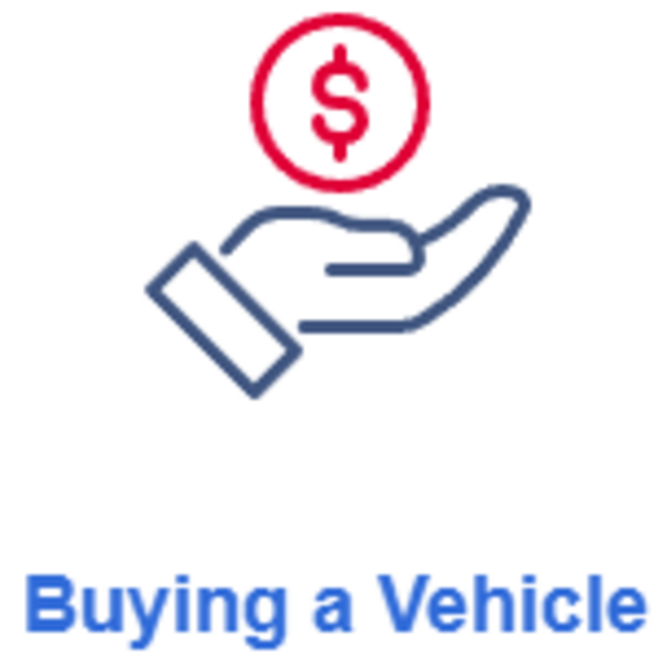 Portfolio - SouthCarolinaVehicle.org - Photo (241637)