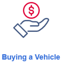 Portfolio - SouthCarolinaVehicle.org - Photo (241639)