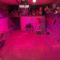 After: Garage Cleanout