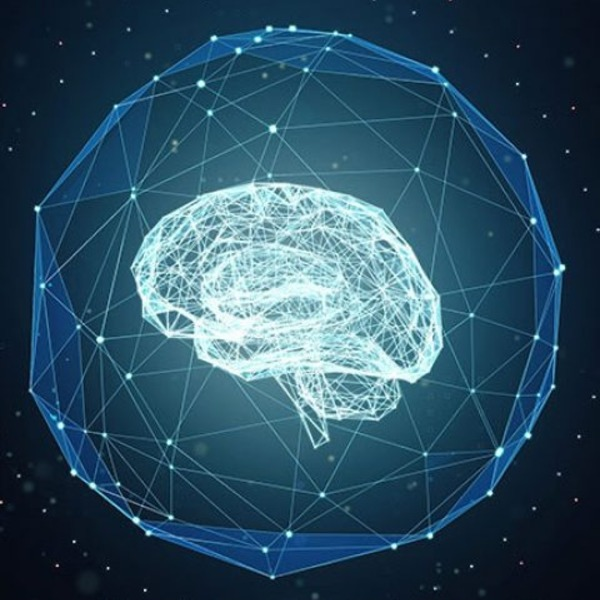 AI Strategy Course - AI Strategy Course - Photo (243902)
