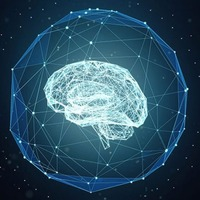 AI Strategy Course - AI Strategy Course - Photo (243902)