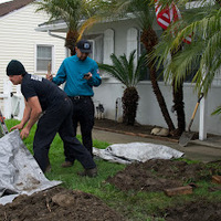 Photos of Our Business - Elite Rooter - Photo (244694)