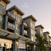 Photos of Our Business - Tessier Group - Photo (245677)
