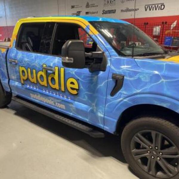 Photos of Our Business - Puddle Pool Services - Photo (249127)