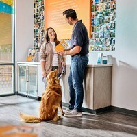 Photos - Dogtopia of Alpharetta at Halcyon - Photo (257264)