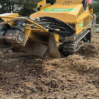 Stump Grinding buffalo NY
