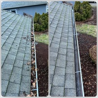 Gutter Cleaning