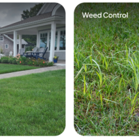 Milton, MA trusts our 60+ years of landscaping. Get design, install & maintenance with a 100% satisfaction guarantee and pro service. Start your outdo